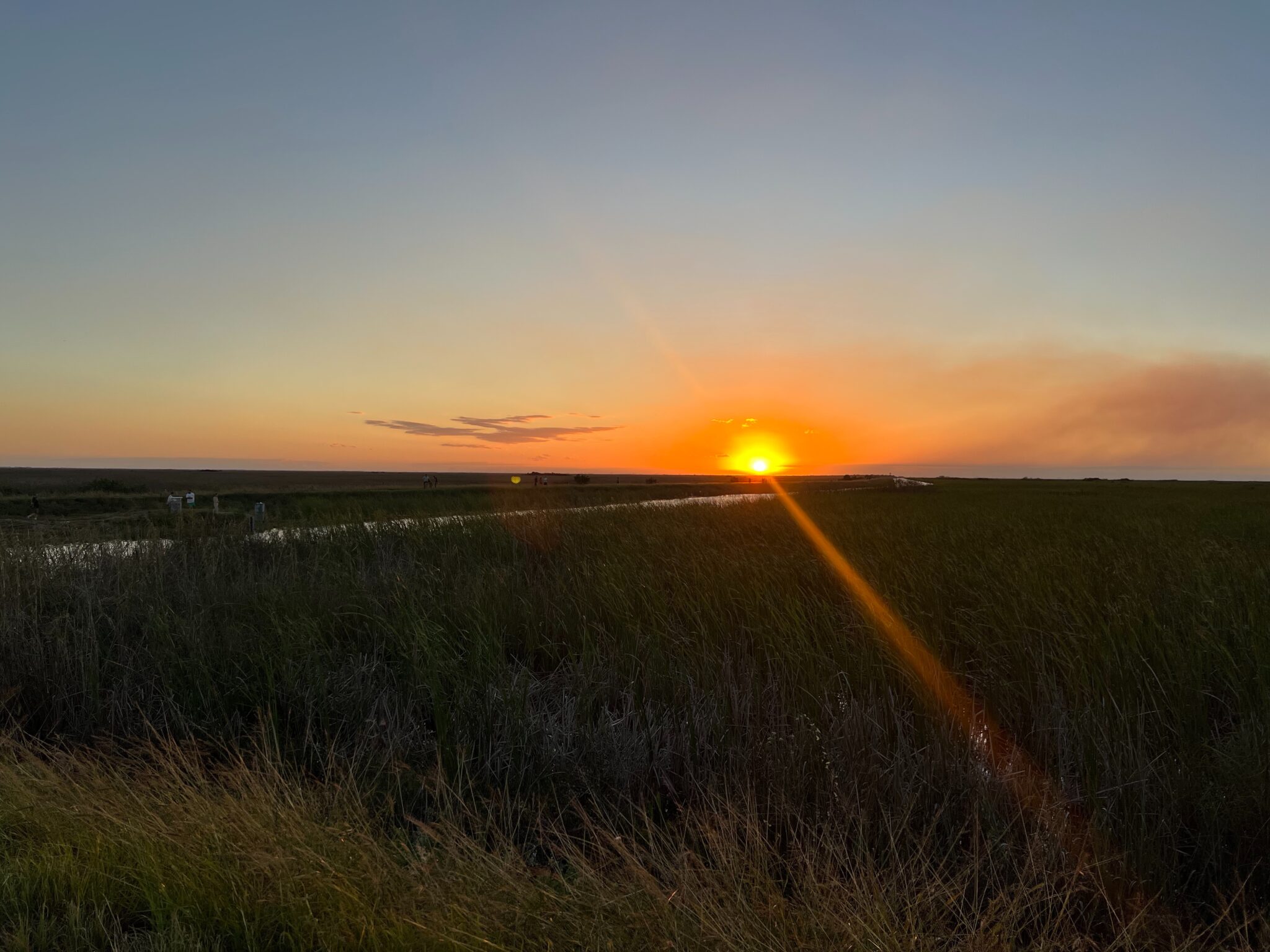 Sun setting over the sawgrass